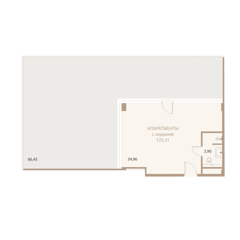 Планировка: 1-комнатная квартира, 125,31 м²