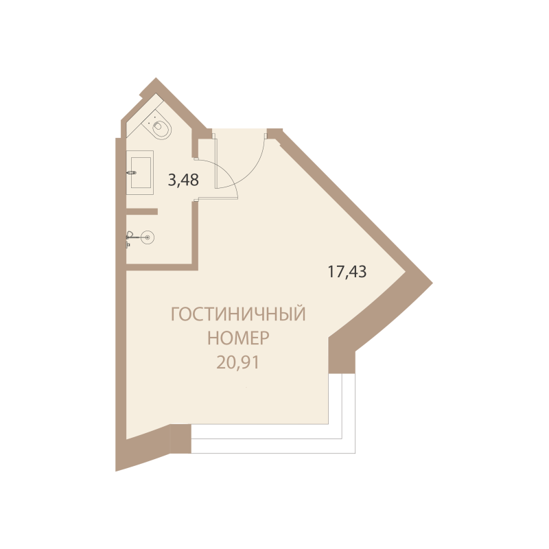 Планировка: 1-комнатная квартира, 20,91 м²